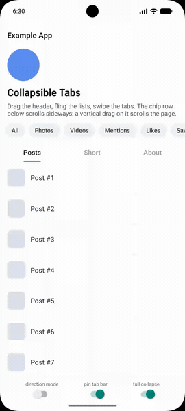 Android demo: the same shell on ViewPager2